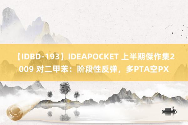 【IDBD-193】IDEAPOCKET 上半期傑作集2009 对二甲苯：阶段性反弹，多PTA空PX