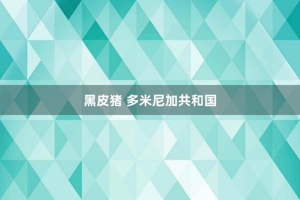 黑皮猪 多米尼加共和国