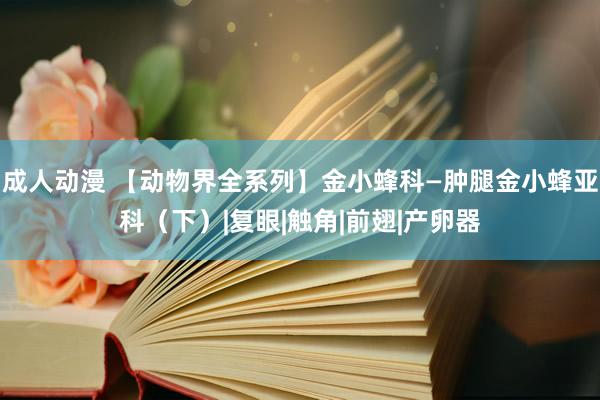 成人动漫 【动物界全系列】金小蜂科—肿腿金小蜂亚科（下）|复