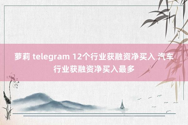 萝莉 telegram 12个行业获融资净买入 汽车行业获融资净买入最多
