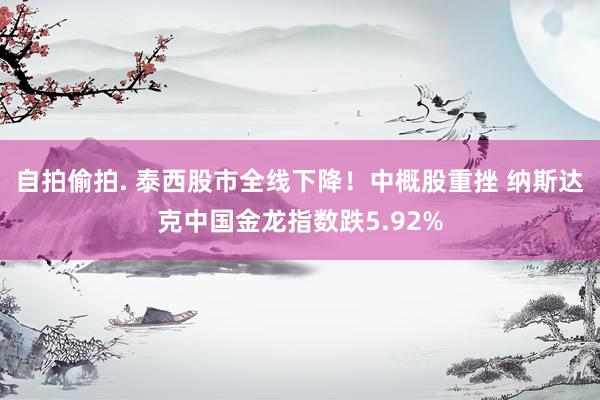 自拍偷拍. 泰西股市全线下降！中概股重挫 纳斯达克中国金龙指