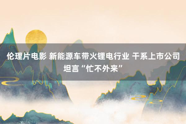 伦理片电影 新能源车带火锂电行业 干系上市公司坦言“忙不外来