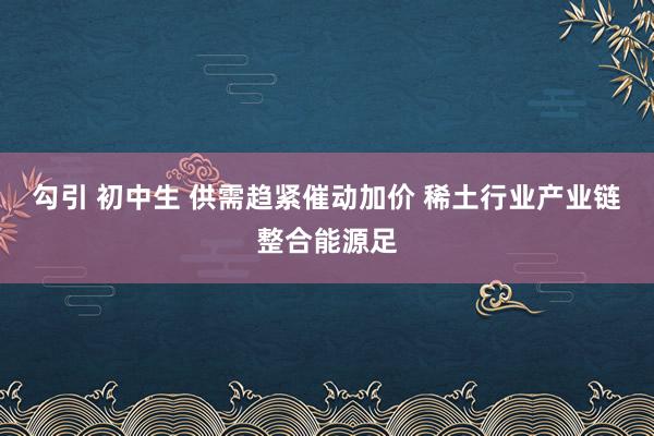 勾引 初中生 供需趋紧催动加价 稀土行业产业链整合能源足