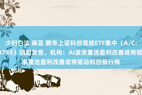 少妇白洁 麻豆 鹏华上证科创笼统ETF集中（A/C: 023