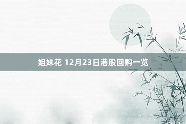 姐妹花 12月23日港股回购一览