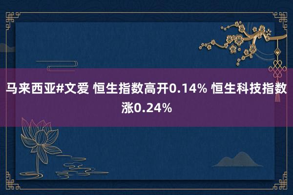 马来西亚#文爱 恒生指数高开0.14% 恒生科技指数涨0.24%