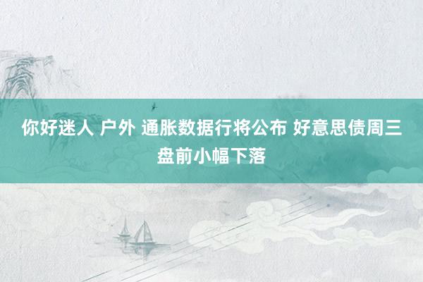 你好迷人 户外 通胀数据行将公布 好意思债周三盘前小幅下落