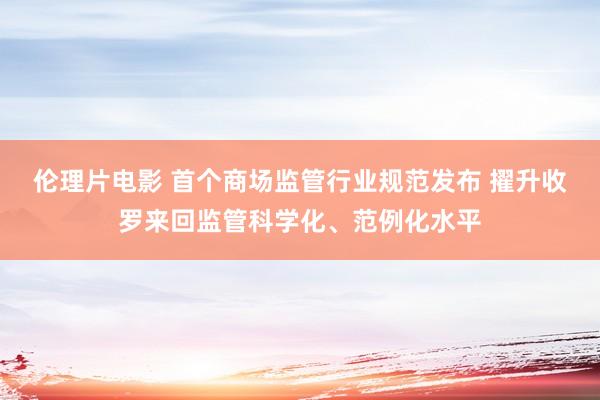 伦理片电影 首个商场监管行业规范发布 擢升收罗来回监管科学化、范例化水平